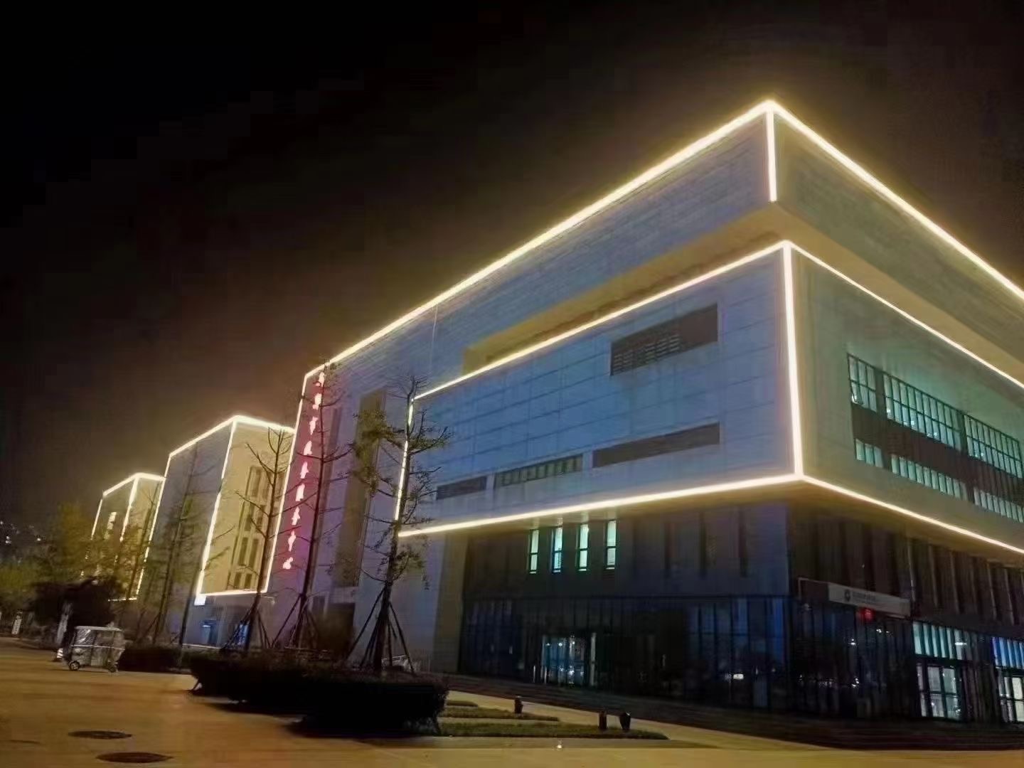 1717583253474314.jpg 黄1.jpg