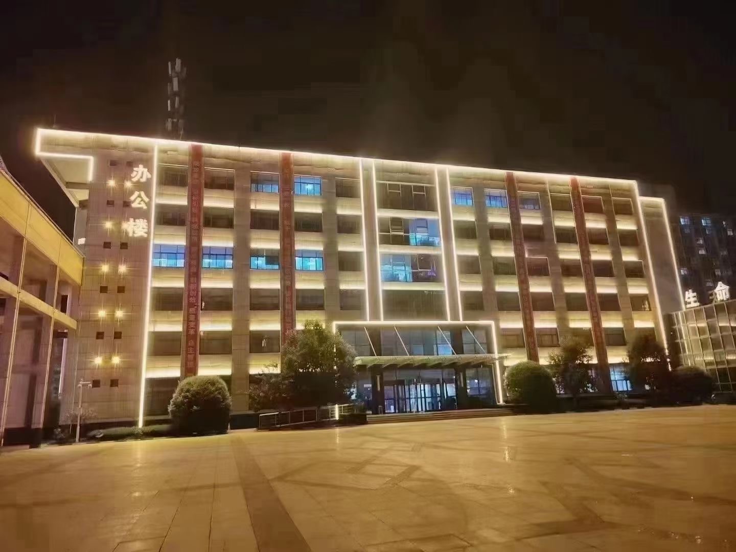 1717583267524855.jpg 黄2.jpg